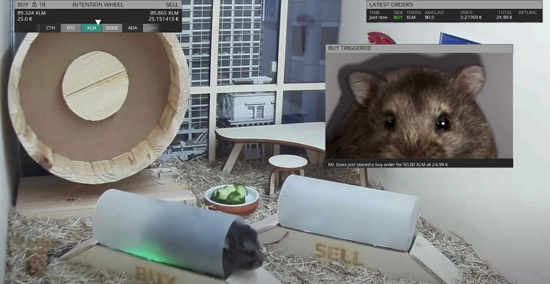 A hamster is trading Crypto